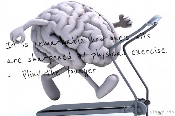 Fitness = Intelligence?