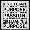 What is your passion