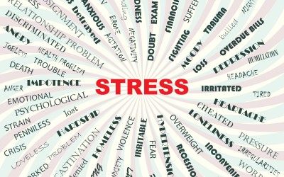 Don’t Let Stress Ruin Your Holiday