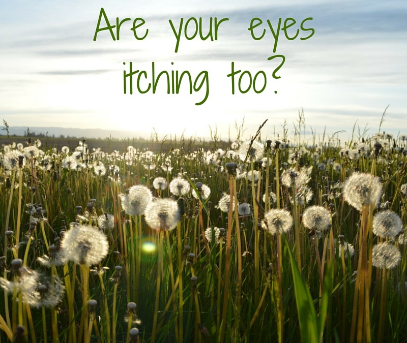 Are your eyes itching?